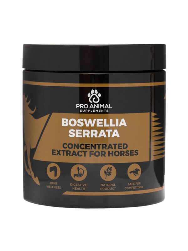 Boswellia Serrata for Horses