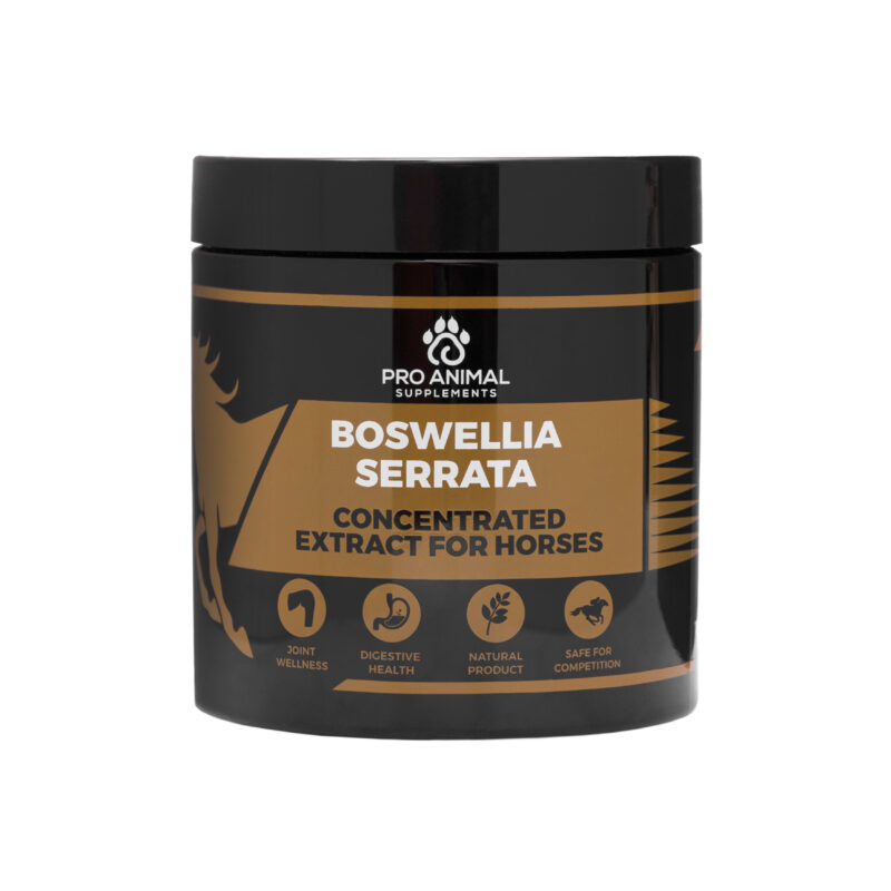 Boswellia Serrata for Horses